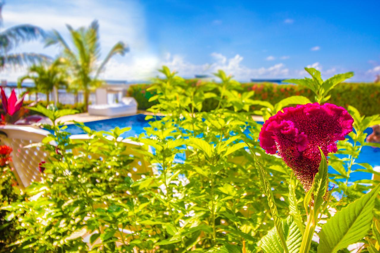 Hotel Aria Manzanillo 4*